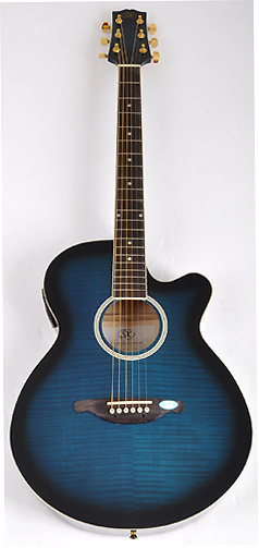 SX JG1 CVT BUS Acoustic Electric - RondoMusic.com