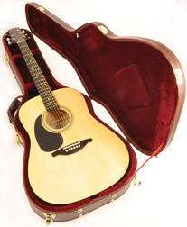 Agile AGC-300 Brown Dreadnought Case