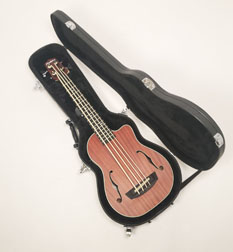 Douglas EGC-200 UKB Case for UKB Uke