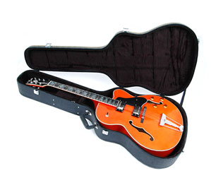 Cool guitar cases cheap
