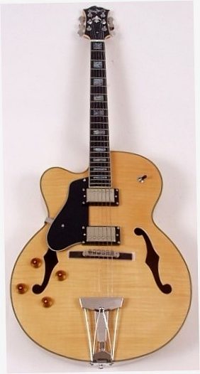 Agile cool cat shop guitar