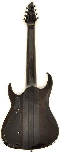 Agile Pendulum Elite 82730 EB EMG Black Flame - RondoMusic.com