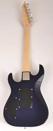 Douglas Scope 725 TBL 7 String Guitar RondoMusic